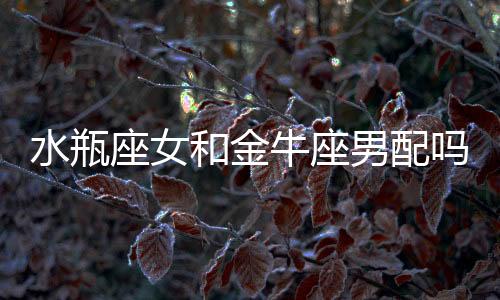 水瓶座女和金牛座男配嗎