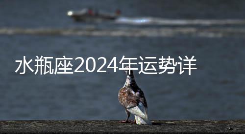 水瓶座2024年運勢詳解全年運程完整版 水瓶座2024年運勢如何