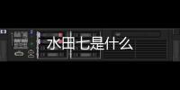 水田七是什么