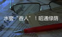 水窖“吞人”！昭通綠蔭村一村民下井救人后“走了”