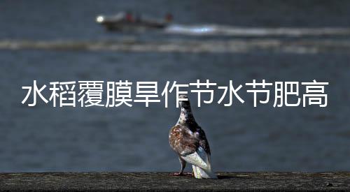 水稻覆膜旱作節水節肥高產栽培技術