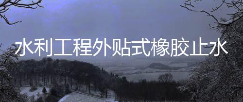 水利工程外貼式橡膠止水帶常用規格