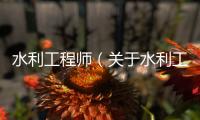 水利工程師（關(guān)于水利工程師的基本情況說(shuō)明介紹）