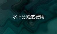 水下分娩的費(fèi)用