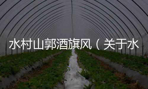 水村山郭酒旗風（關于水村山郭酒旗風的基本情況說明介紹）