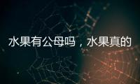 水果有公母嗎，水果真的有“公、母”之分嗎