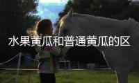 水果黃瓜和普通黃瓜的區別