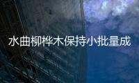 水曲柳樺木保持小批量成交記錄\霸氣外露！農(nóng)民花10多萬自造紅木敞篷跑車