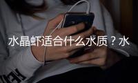 水晶蝦適合什么水質(zhì)？水晶蝦適合的水硬度