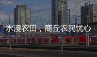 水浸農(nóng)田，商丘農(nóng)民憂心秋收秋種