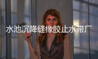 水池沉降縫橡膠止水帶廠家