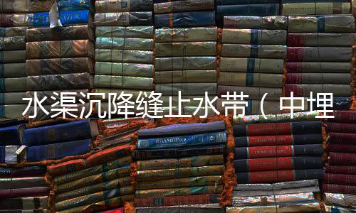 水渠沉降縫止水帶（中埋式橡膠止水帶）