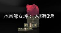 水富邵女坪： 人鷗和諧妙趣多