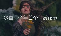 水富：今年首個“賞花節”在向家壩鎮啟幕