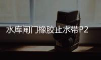 水庫閘門橡膠止水帶P25 P40型價格