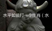 水平如鏡打一個生肖（水平如鏡）