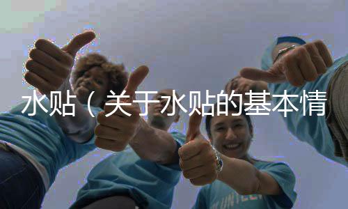 水貼（關(guān)于水貼的基本情況說明介紹）