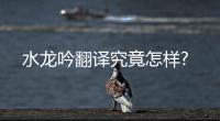 水龍吟翻譯究竟怎樣?