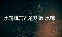水鴨牌苦丸的功效 水鴨牌苦丸治什么病？
