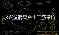 永興塑鋼復合土工筋帶價格