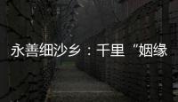 永善細沙鄉：千里“姻緣”一線牽 佳果天成慶豐年