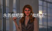永善枇杷季，“枇杷王”新鮮“出爐”