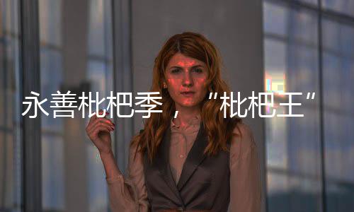 永善枇杷季，“枇杷王”新鮮“出爐”