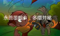 永善墨翰鄉(xiāng)：多措并舉 標(biāo)本兼治 筑牢平安建設(shè)防線