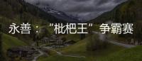 永善：“枇杷王”爭霸賽 果農樂開懷