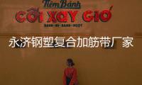 永濟(jì)鋼塑復(fù)合加筋帶廠家