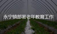 永寧鎮部署老年教育工作