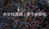 永安桃源洞（關(guān)于永安桃源洞的基本情況說(shuō)明介紹）