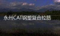 永州CAT鋼塑復合拉筋帶價格優惠