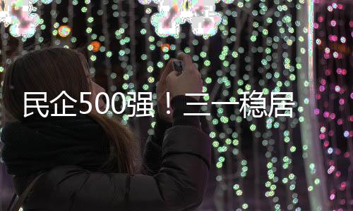 民企500強！三一穩居行業第一