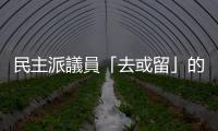 民主派議員「去或留」的進一步觀察
