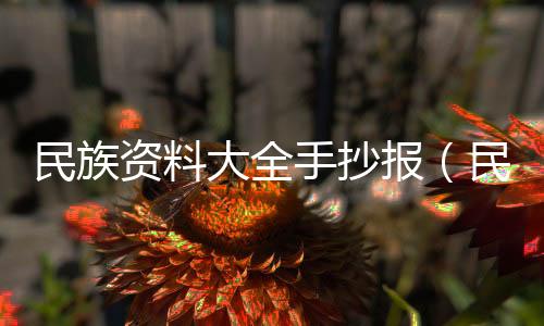 民族資料大全手抄報(bào)（民族資料大全）