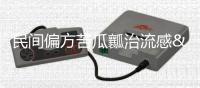 民間偏方苦瓜瓤治流感 專家核實不確定