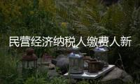 民營經(jīng)濟納稅人繳費人新增減稅降費及退稅緩費超3393億元