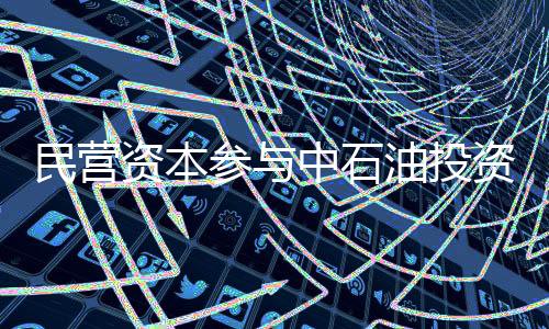 民營資本參與中石油投資毀譽參半