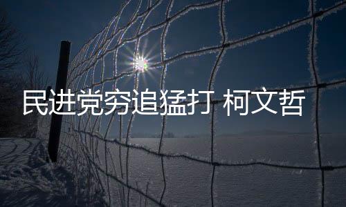 民進黨窮追猛打 柯文哲為選情止血暫停高虹安黨權