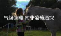 氣候偏暖 南非葡萄酒探尋新出路