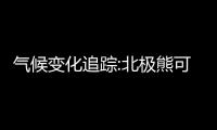 氣候變化追蹤:北極熊可能在2100年消失