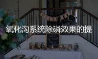 氧化溝系統除磷效果的提高途徑