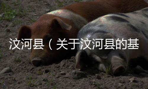 汶河縣（關于汶河縣的基本情況說明介紹）