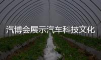 汽博會展示汽車科技文化銳力 咸陽汽車產(chǎn)業(yè)園開啟發(fā)展新征程