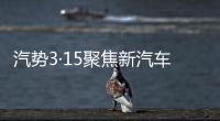 汽勢(shì)3·15聚焦新汽車(chē)新消費(fèi) 投訴平臺(tái)開(kāi)通實(shí)時(shí)在線