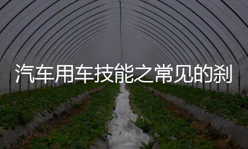 汽車用車技能之常見的剎車體系三誤區