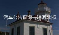 汽車公告查詢—曝河北邯鄲農村葬禮請脫衣舞女郎“助興”專汽家園