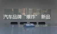 汽車品牌“爆炸” 新品牌的機會在哪？
