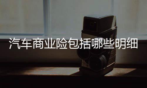 汽車商業險包括哪些明細（汽車商業險包括哪些）